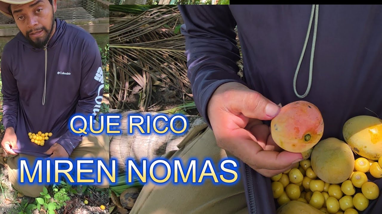 ES REGUERA DE NANCES AQUI