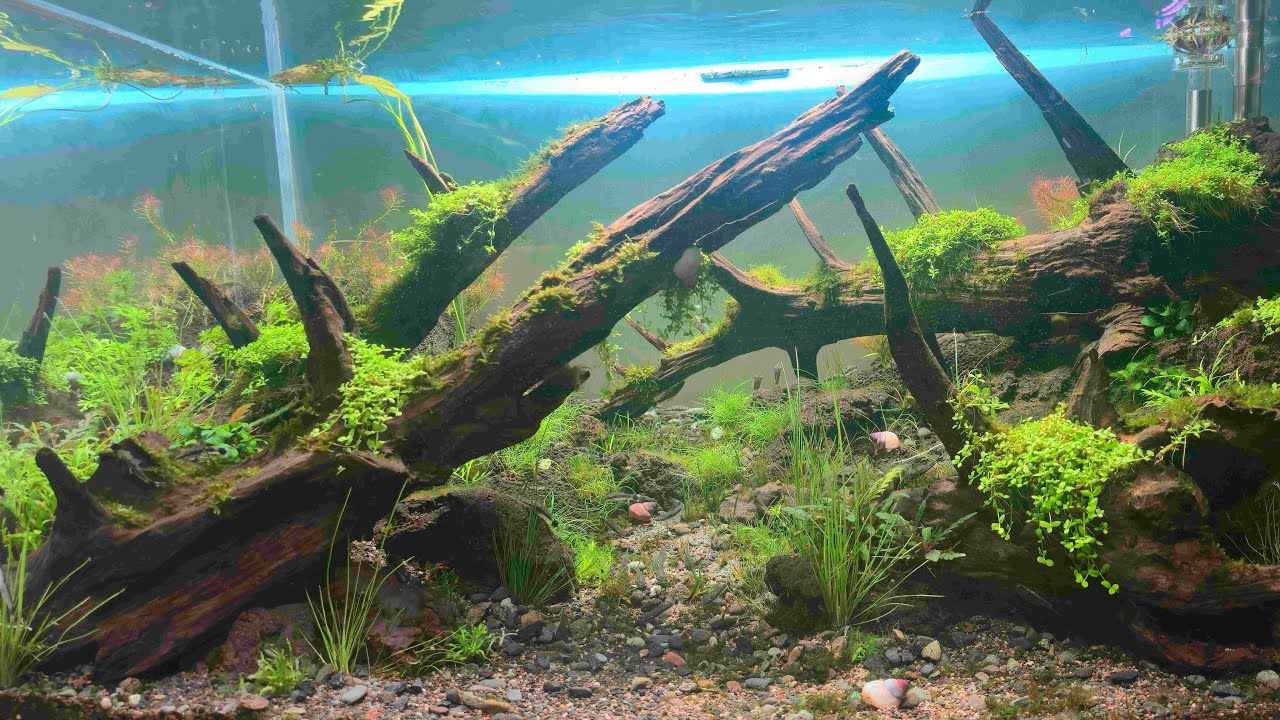 ¡Mantenimiento, listados y acción! En directo