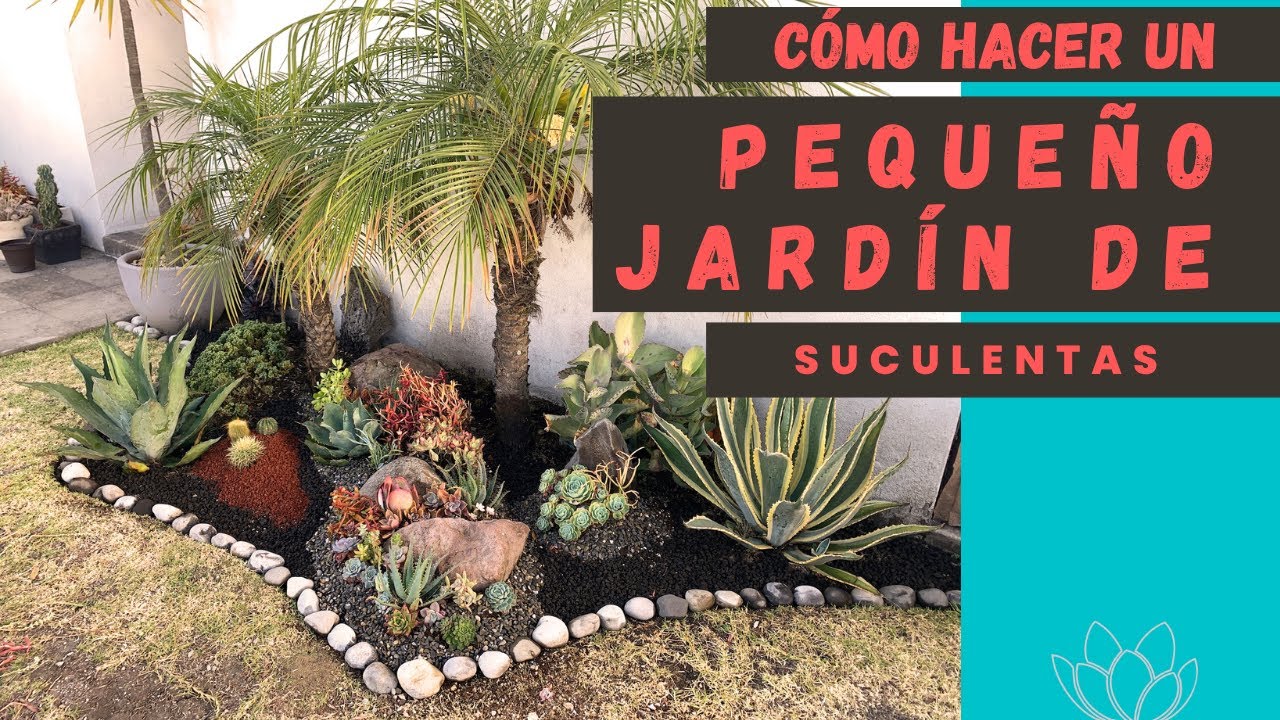 Cómo hacer un pequeño jardín de suculentas desde cero