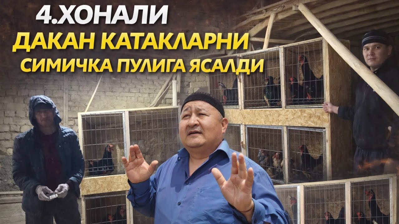ПАРВОЗЛАР УЧУН ЗУР ЯНГИЛИК ЖУДА ОРЗОНГА 8.та МАКИЁН ВА 4.та ХУРОЗ СИГАДИГАН КАТАК БИТТИ