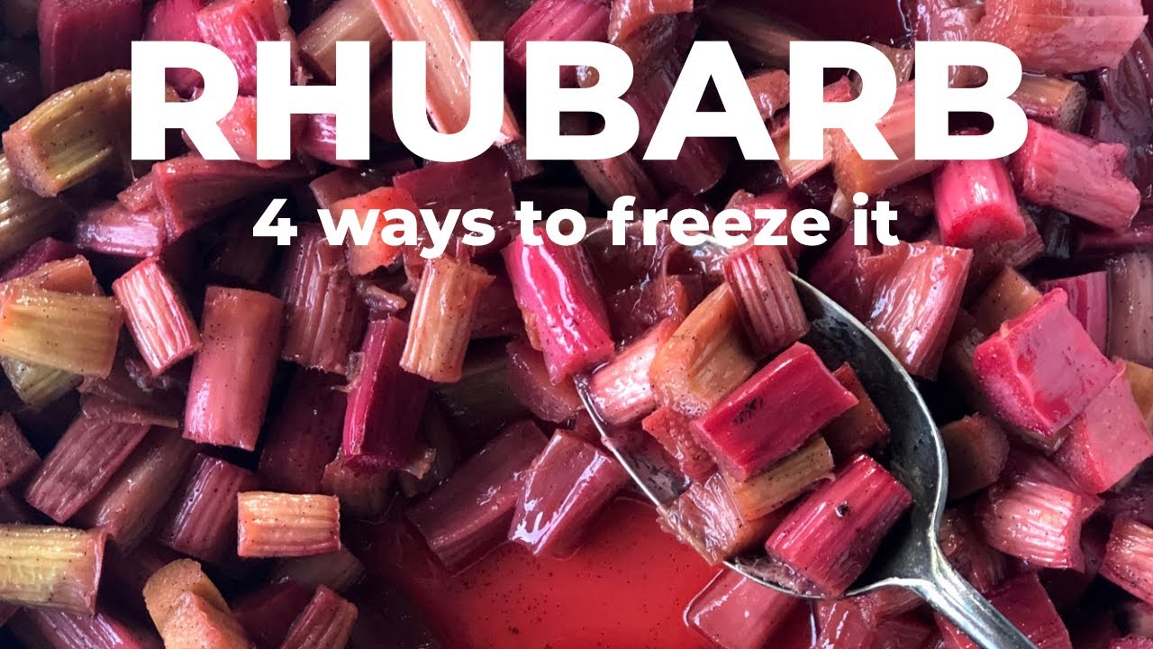 4 ways to FREEZE RHUBARB