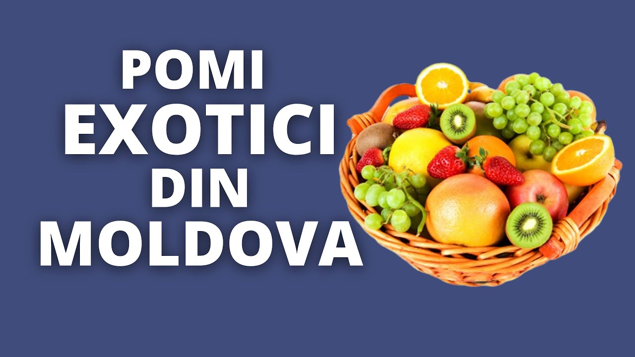 Ce pomi exotici găsim în pieţele din Moldova şi ce preţuri au mandarinii şi copacii de mini-kiwi