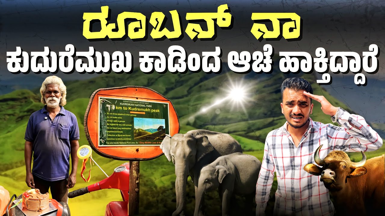 ಕುದುರೆಮುಖ ಅರಣ್ಯದಿಂದ ರುಬನ್ ಅನ್ನು ಹೊರಹಾಕಲು ಕಂಪನಿ ಬಯಸುತ್ತದೆ KIOCL | Kudremukha Iron ore company limited