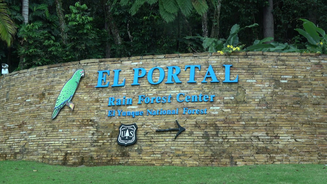 El Yunque, Puerto Rico (4K)