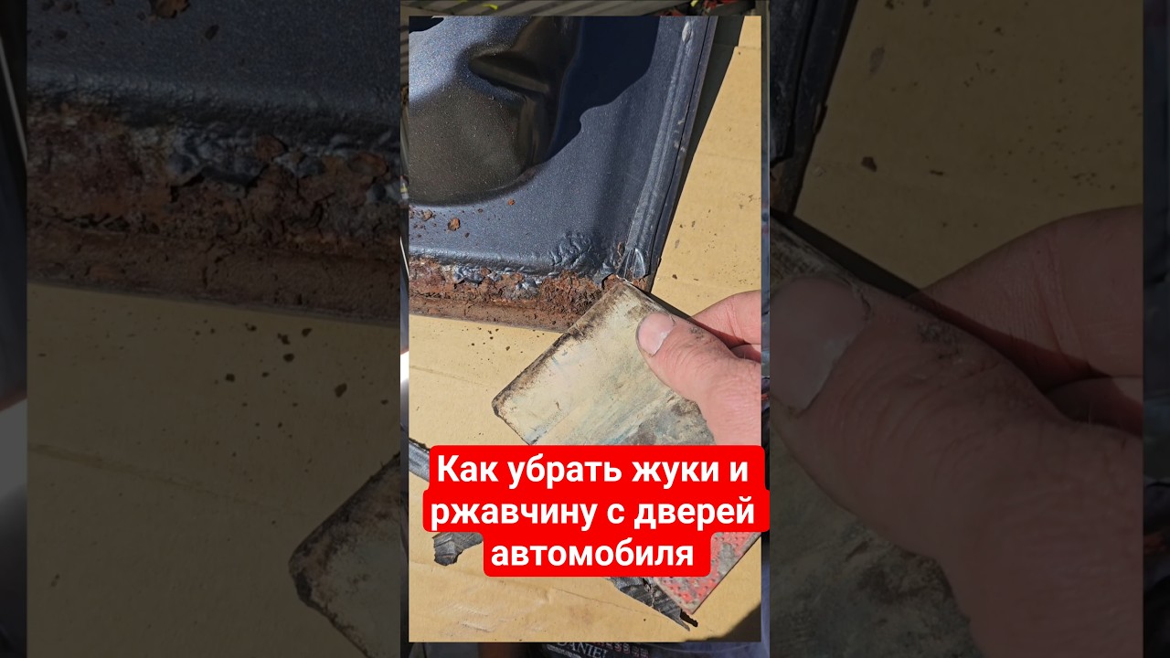 Как убрать жуки и ржавчину с дверей автомобиля