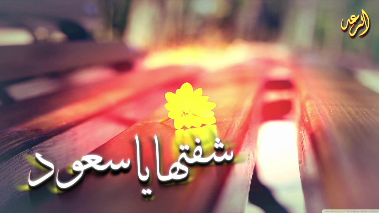 شيلة شفتها يا سعود صدفة | mp3
