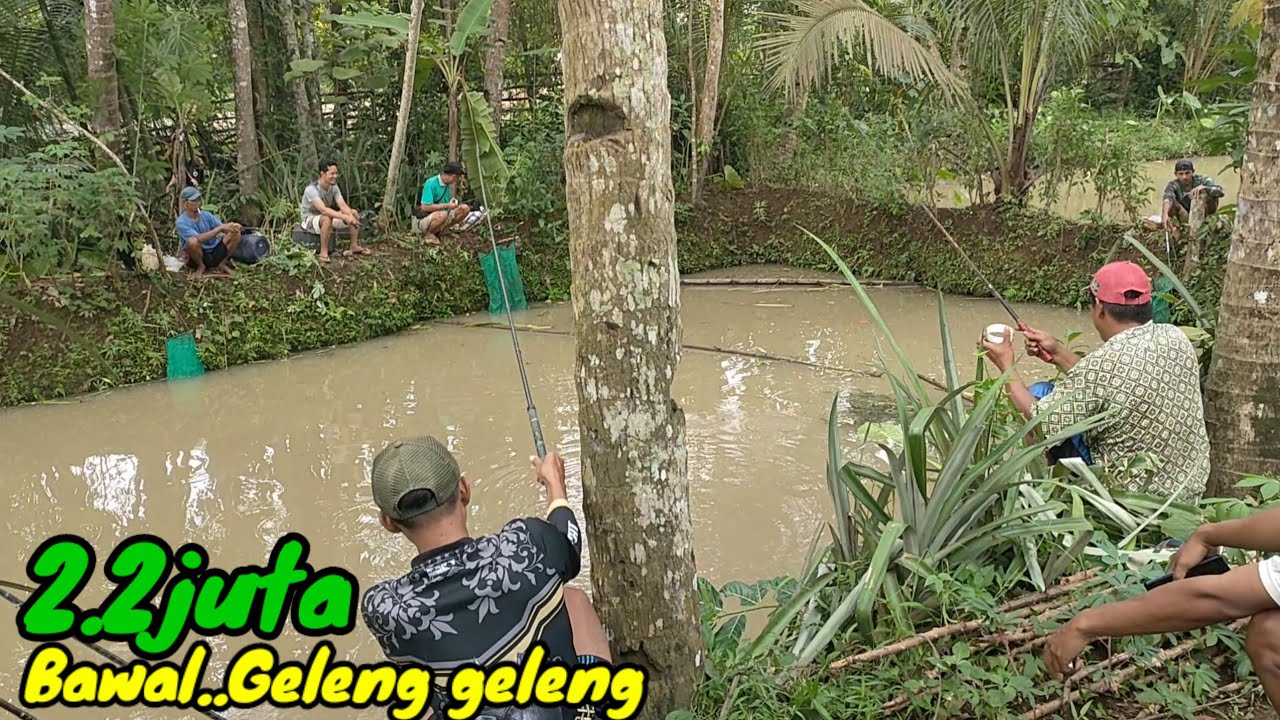 Kondisi mancing sedang tidak baik..⁉️