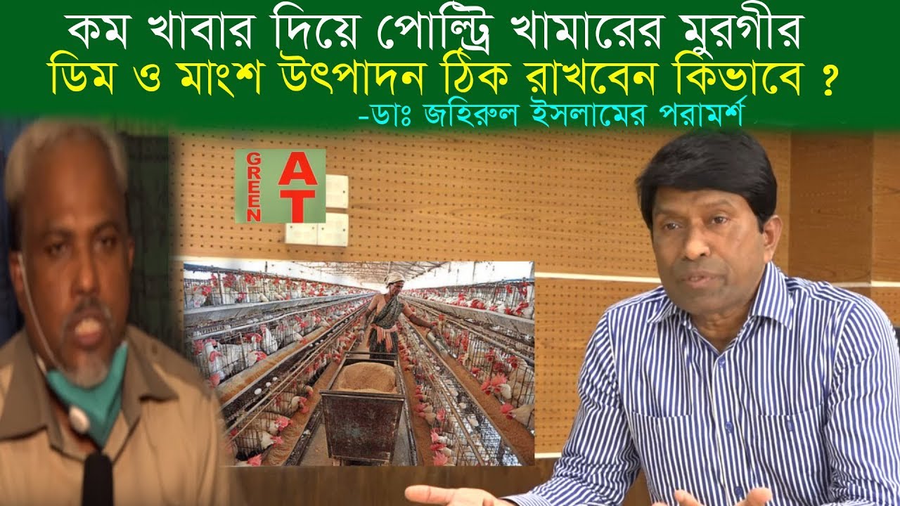 পোল্ট্রি খামারে | কম খাবার দিয়ে ডিম ও মাংশ | উৎপাদন বৃদ্ধি করবেন কিভাবে | poultry feed management