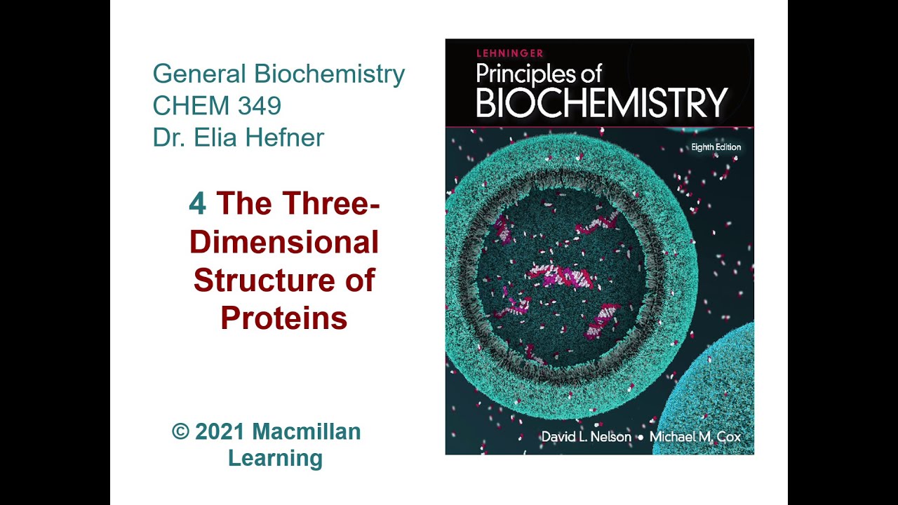 Chapter 4 - The Three Dimensional Structure of Proteins