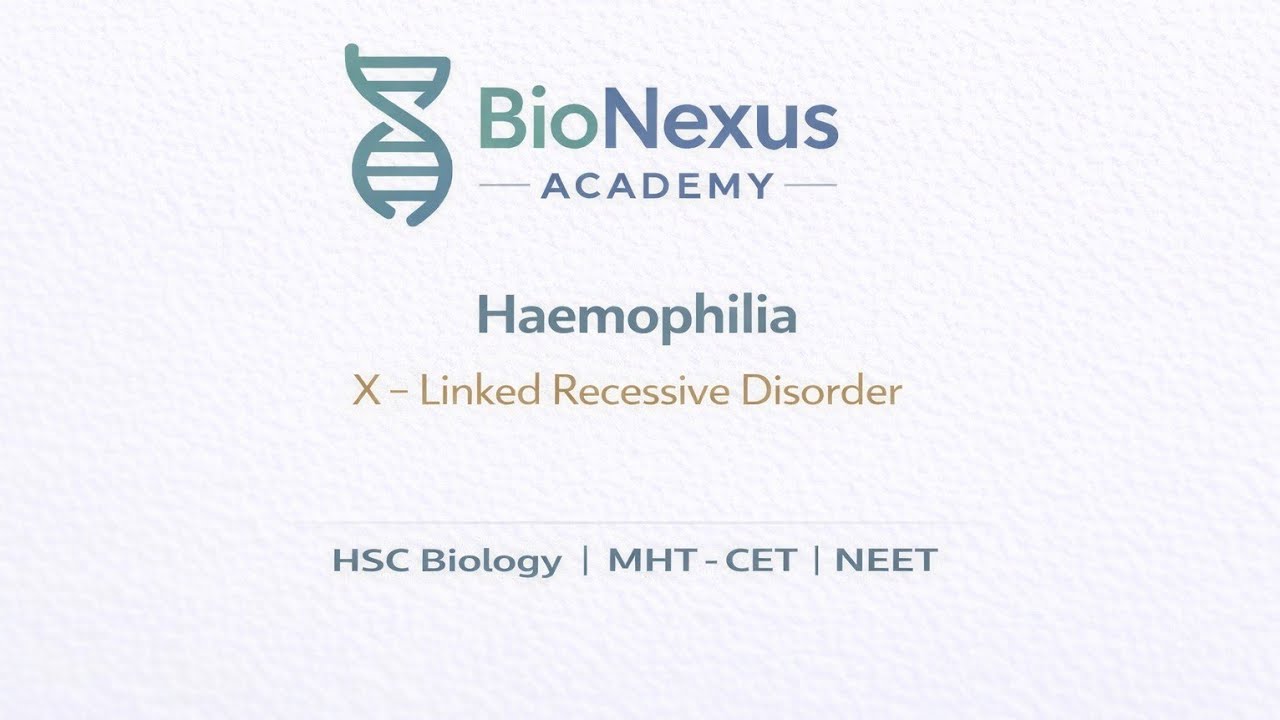 Haemophilia | X-Linked Recessive Disorder | Genetics explained