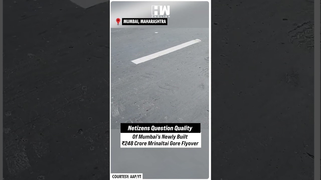#Shorts | Netizens Question Quality Of Mumbai's Newly Built ₹248 Crore Mrinaltai Gore Flyover | BMC