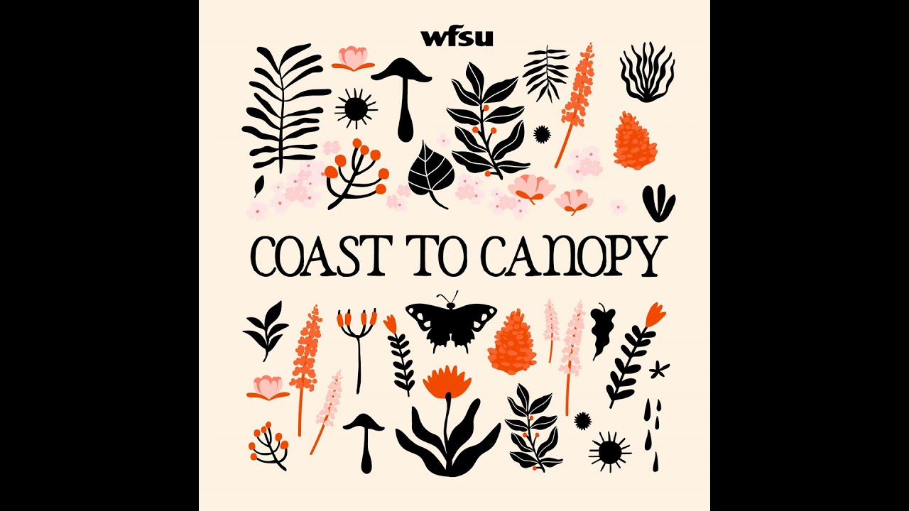 Creating a Climate-Resilient Garden in North Florida