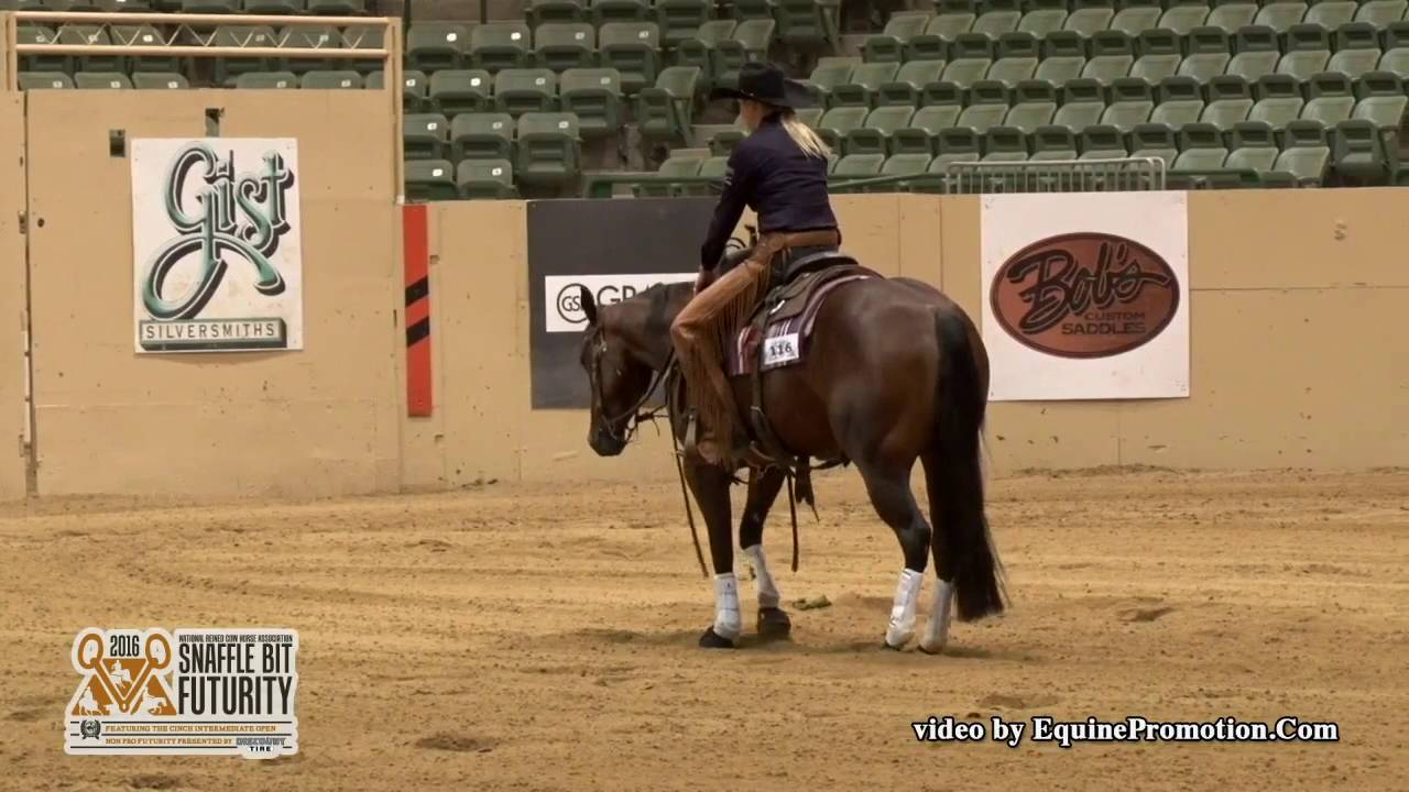 Sarah Dawson and Wright On Hickory Rein Work Prelims SBF 2016