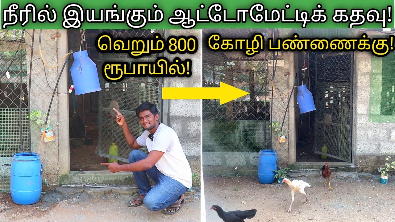 அடடே இது நல்லாருக்கே! இனி பண்ணைகளில் கதவு திறக்க, மூட தேவையில்லை! | Automatic Door for Poultry farms