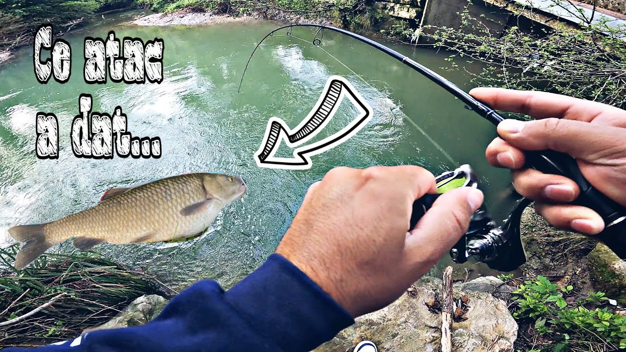 🎣 Am pescuit la clean pe  un rau de munte 🎣 am prins clean dupa clean in inima muntilor🎣