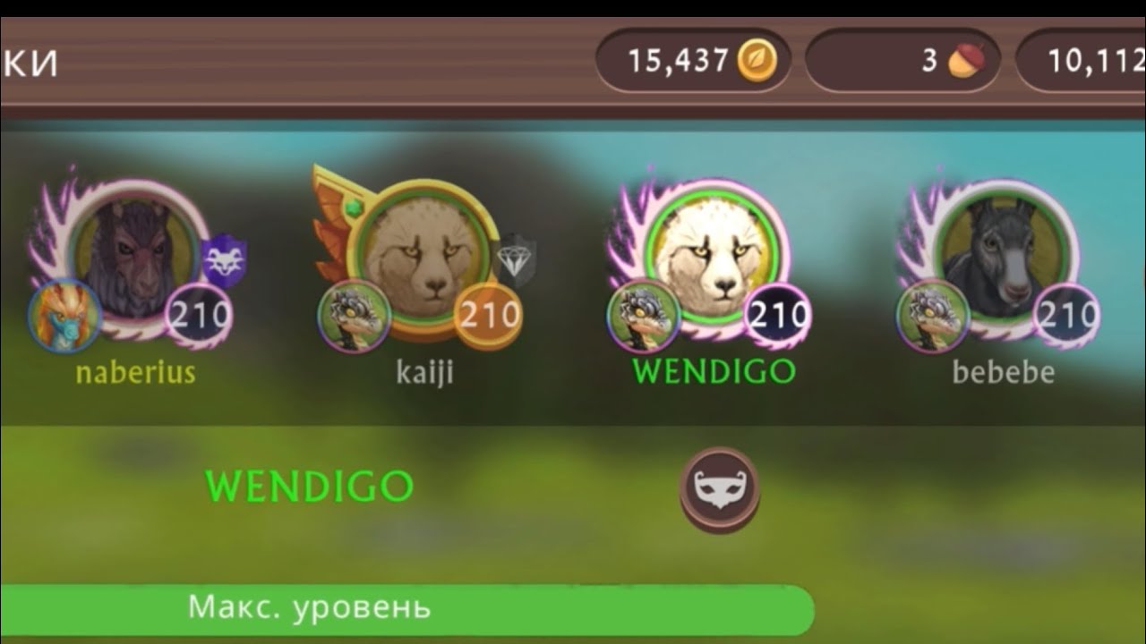 WildCraft  Arena 4/4