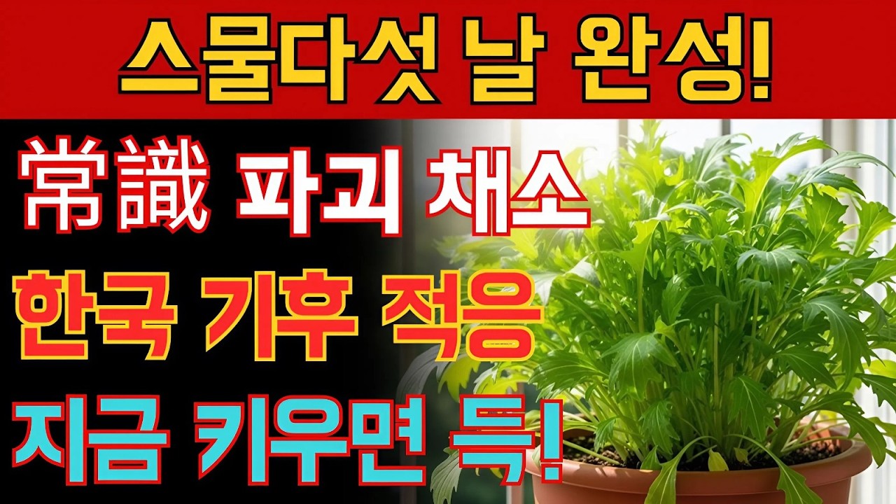 씨앗 뿌리고 스물다섯 날이면 끝… 한국 기후를 뒤흔드는 충격의 채소!