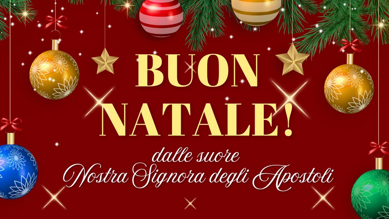 Buon Natale dalle suore NSA!🎄💫