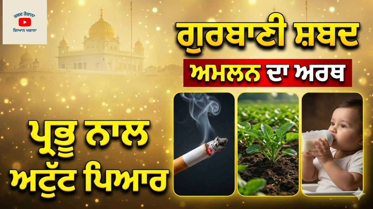 ਗੁਰਬਾਣੀ ਸ਼ਬਦ “ਅਮਲਨ” ਦਾ ਅਸਲ ਅਰਥ | Ang 613 | Raag Sorath | Gurbani Word Meaning