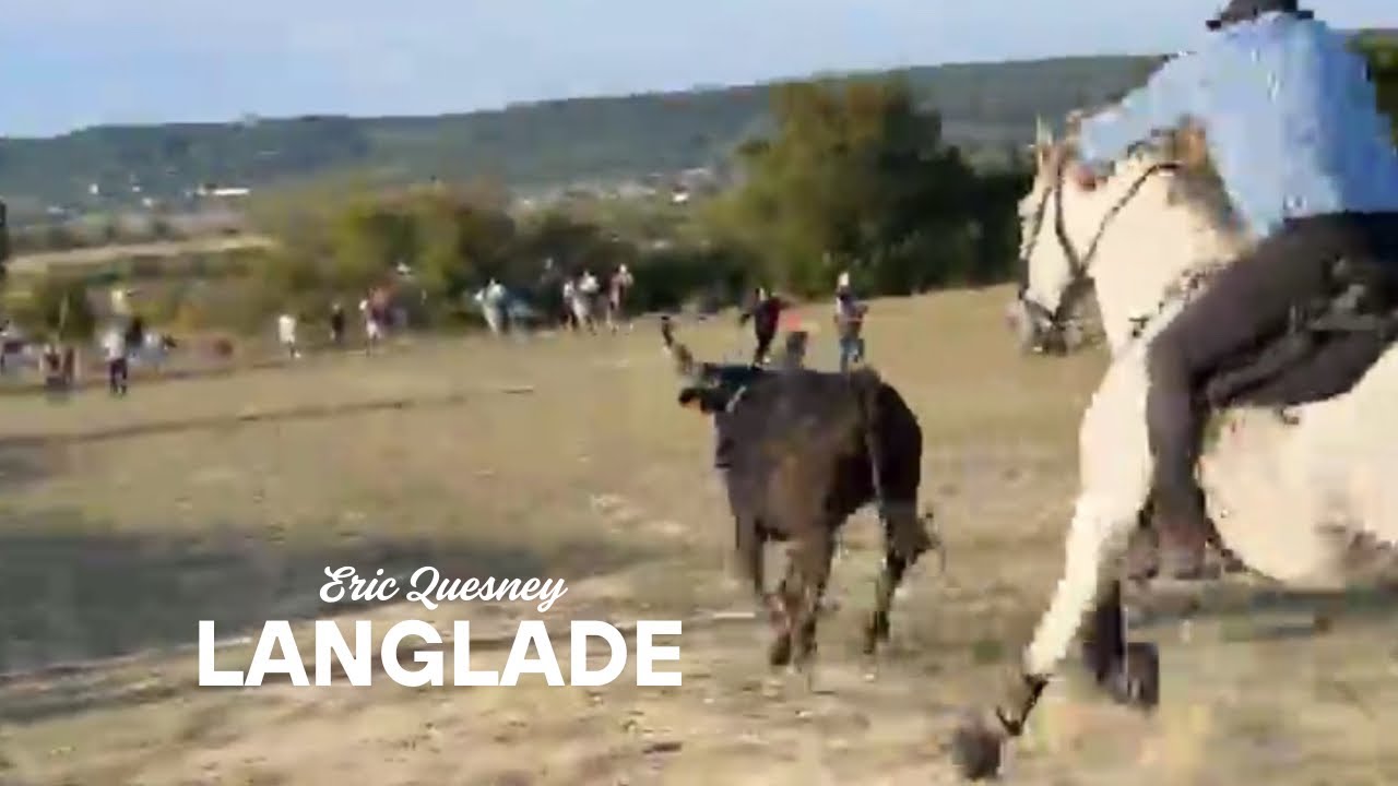 EN DIRECT Bandido Langlade le 03/10/2025 