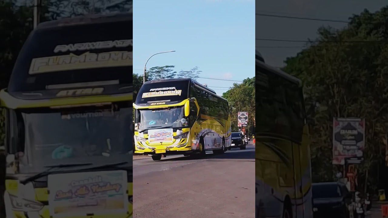 bahtera cinta modul OKDJ #flamboyan #huntingbus #teamngaprakciungwanara🤩🔥
