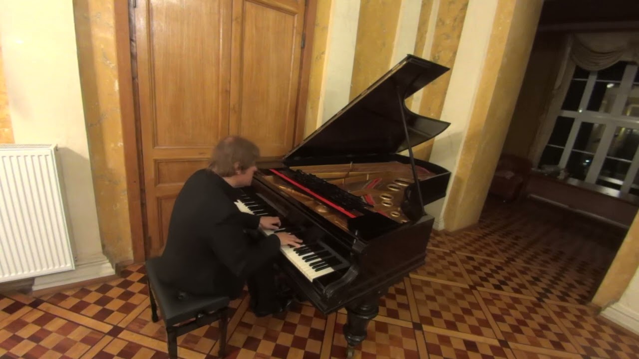 Peter Laul plays Debussy Clair de Lune