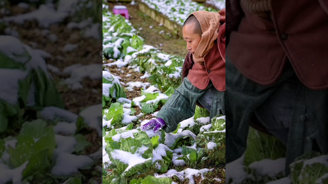 最美寺院  禪意美學生活 曹山下雪了   曹洞祖庭| 曹山寶積寺 | 養立法師