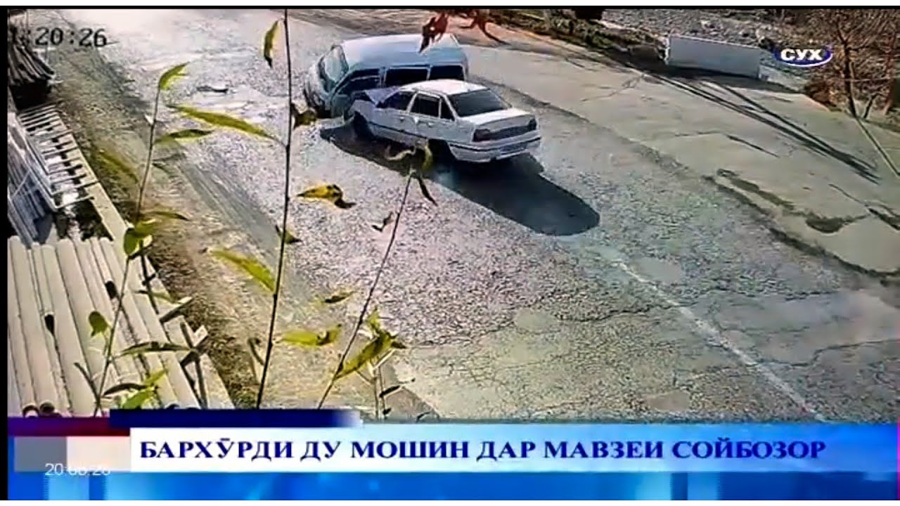 ТВ СУХ //АХБОР//29/11/2024