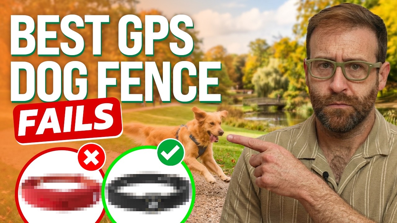 Лучшие GPS-заборы для собак: большинство не работают (я их протестировал)