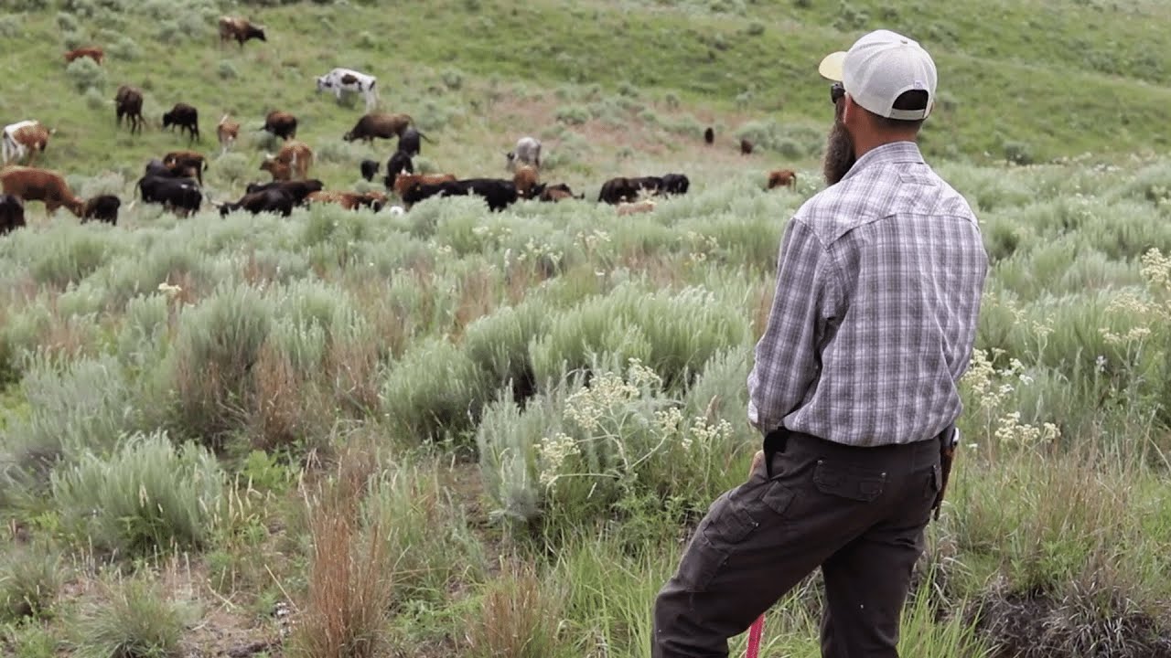 Mental Health in Ranching