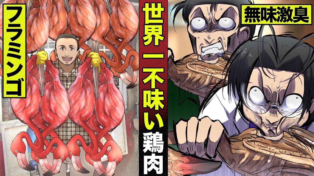 【奇食】世界一不味い鶏肉「フラミンゴ」。腐る寸前、激臭だが無味。