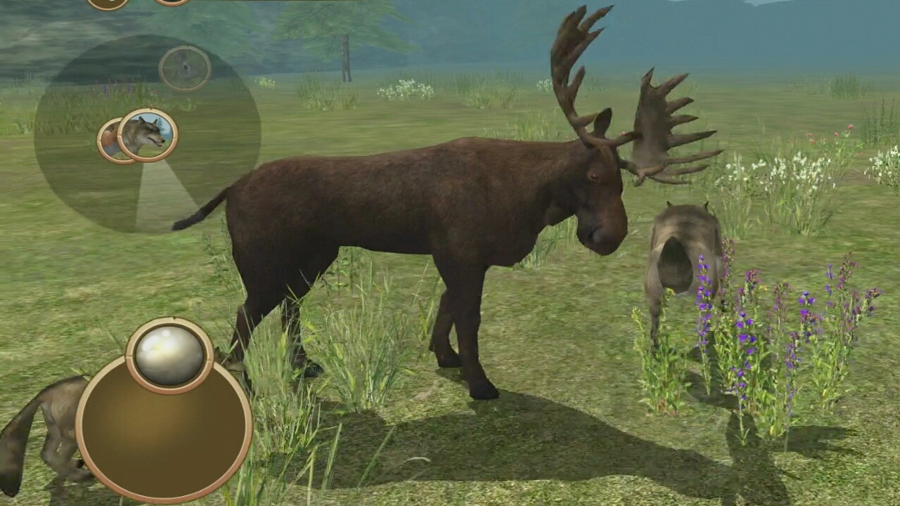 Wild Wolf Simulator 3D Android Gameplay