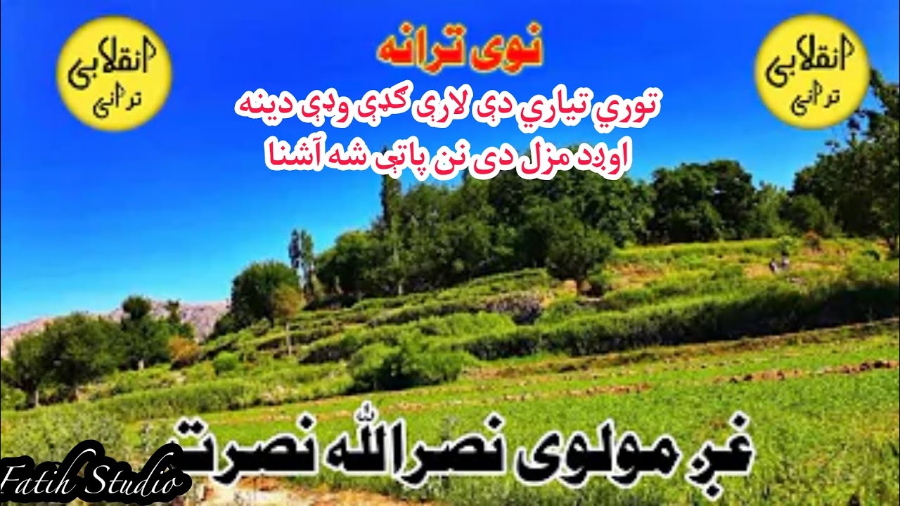 توري تياري دې لارې ګډې وډې دينه اوږد مزل دی || پشتو ترانه || حماسی ترانه || PashtoTarana || Nazam