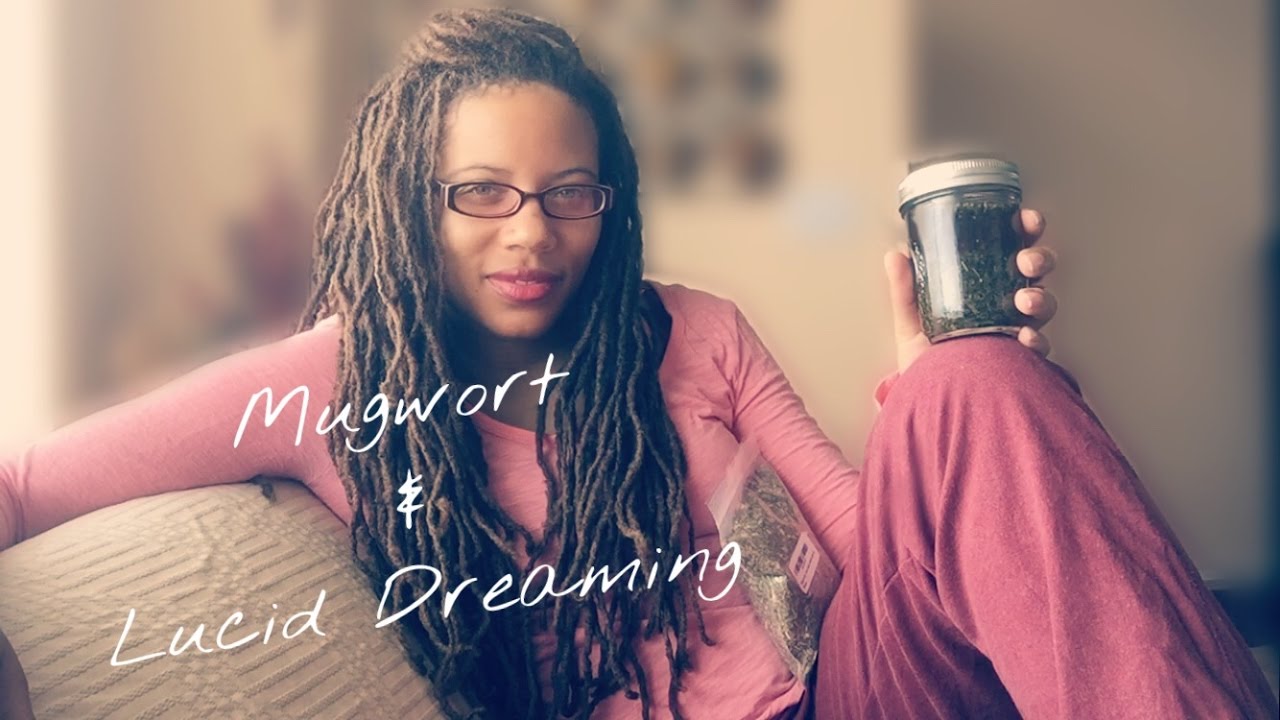MUGWORT AND LUCID DREAMING!