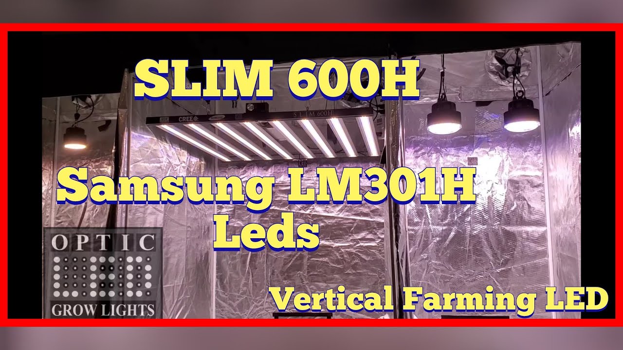 Slim 600H LED Grow Light - Vertical Farming LED - Samsung LM301H + CREE XPE LEDs