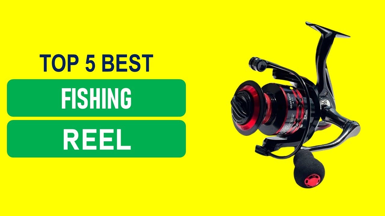 Best Budget Fishing Reel 2026