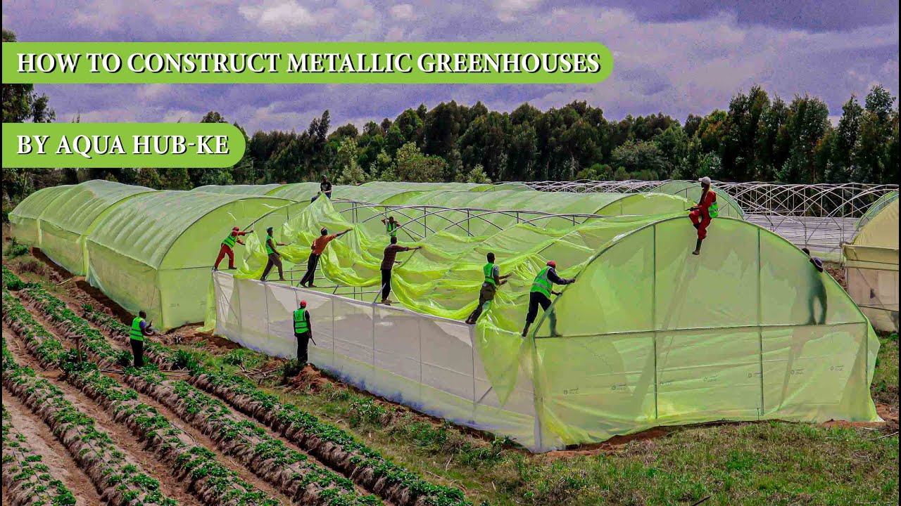 How to construct  metallic Greenhouses in Kenya step by step