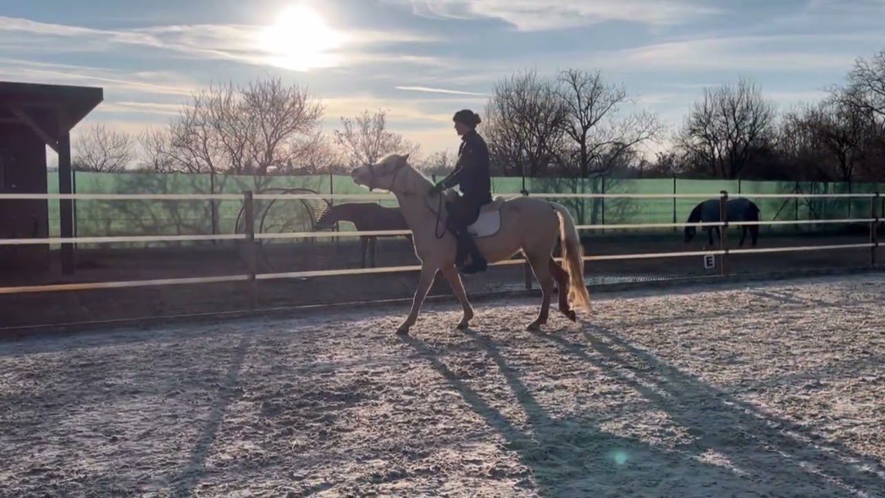 Gucci - 7yo - první samostatné řízení ze sedla ❤️