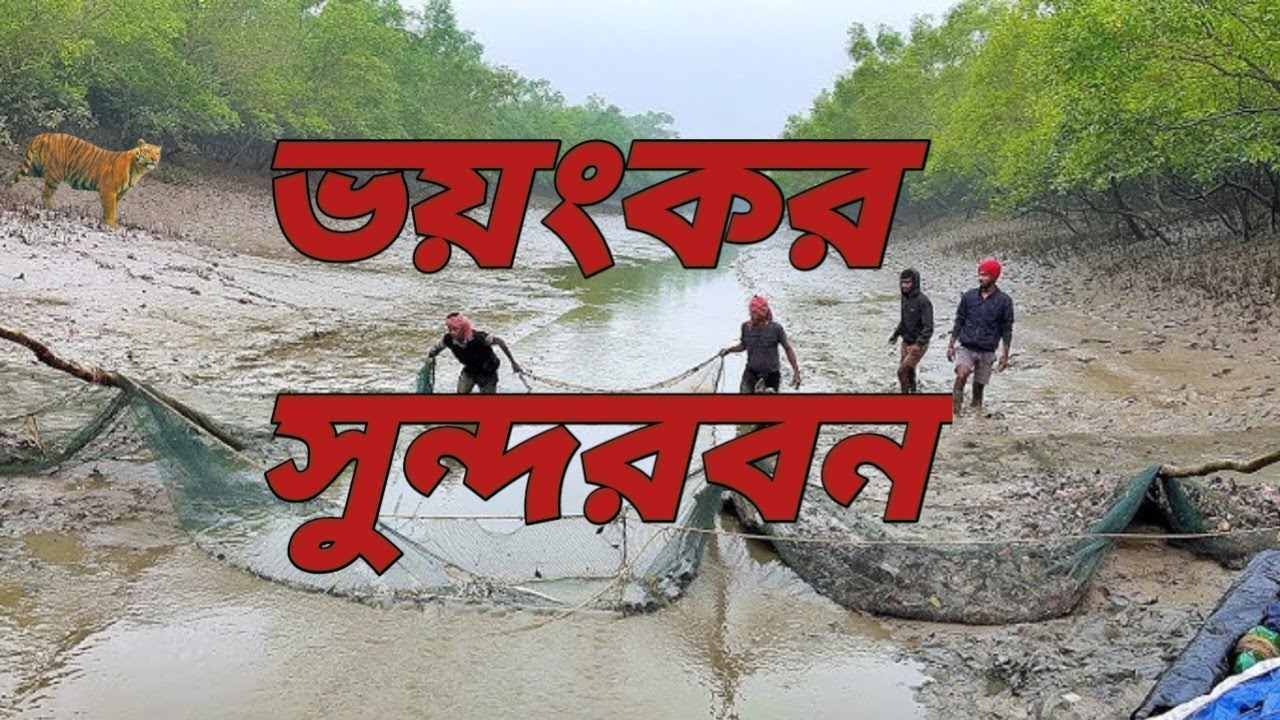 ভয়ঙ্কর সুন্দরবন 😱😱😱😱😱🏝️🏝️🏝️