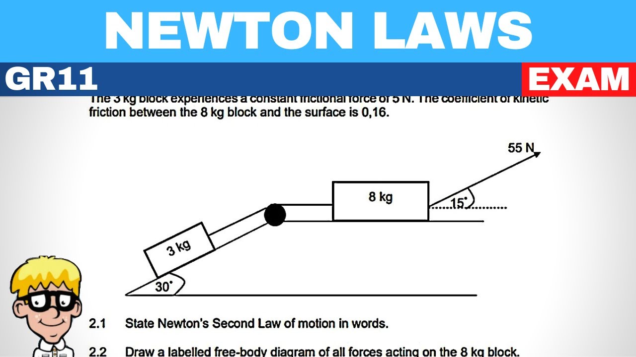 Newton laws exam questions