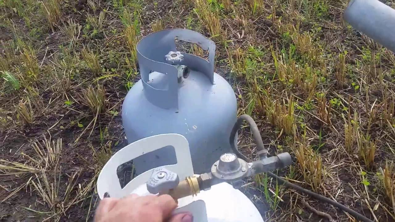 How Scare Cannons work