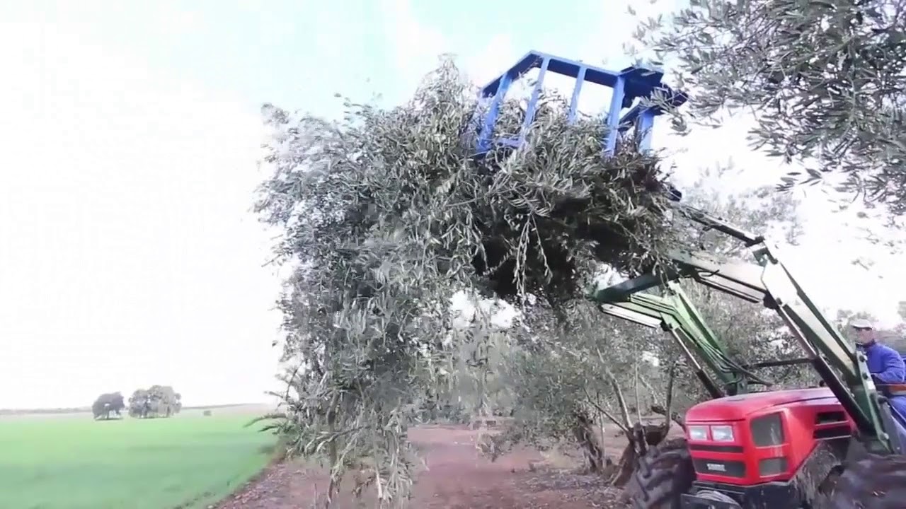 Recoge poda La montesina RP-M1 | AgroAnuncios.es