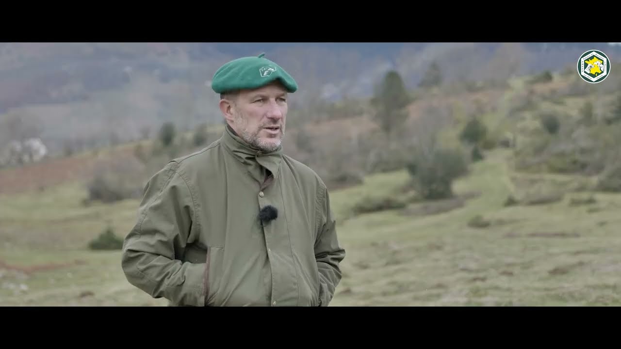 Le renard en haute montagne (Passion Chien Courant #11)