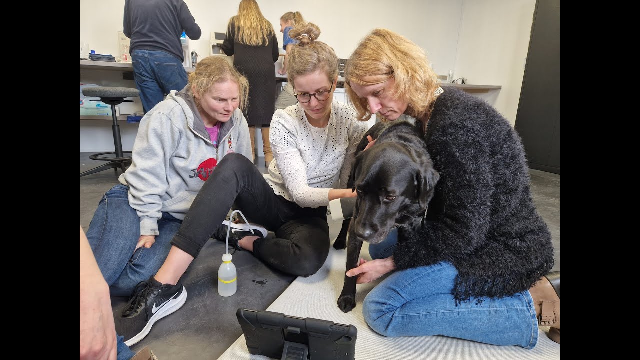 Spoedartsen op werkbezoek bij Stichting SOS Dolfijn