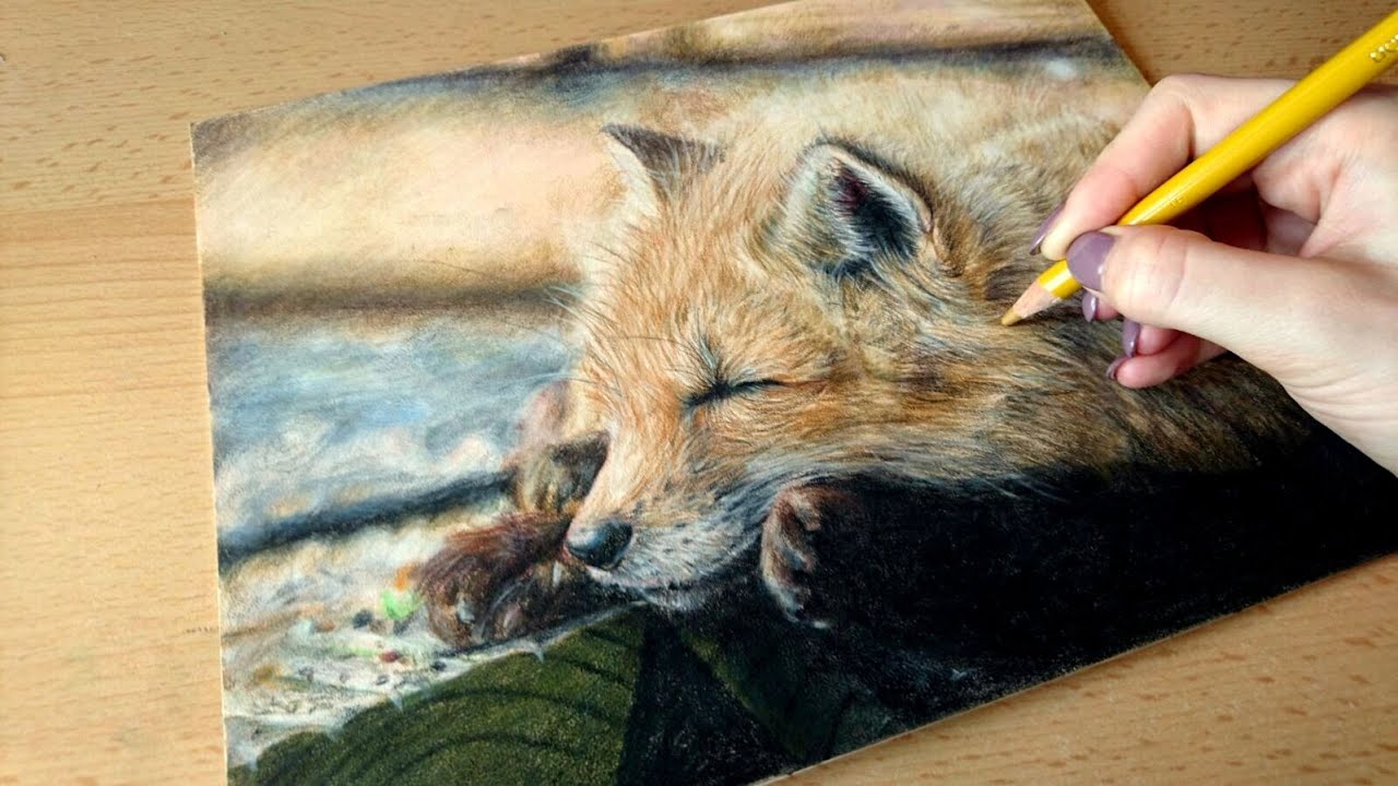 Colored Pencil Drawing: Cute Fox - Speed Draw | JosYMovieS