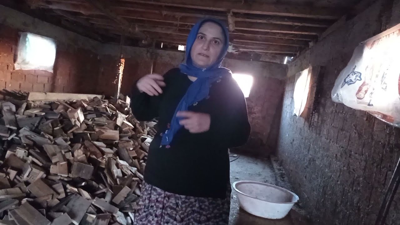 Bahçemize odun kesme makinesi geldi   topladık.