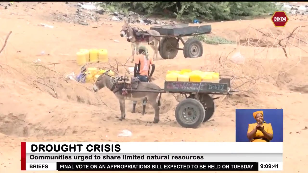 Over 300,000 residents affected by drought in Mandera County
