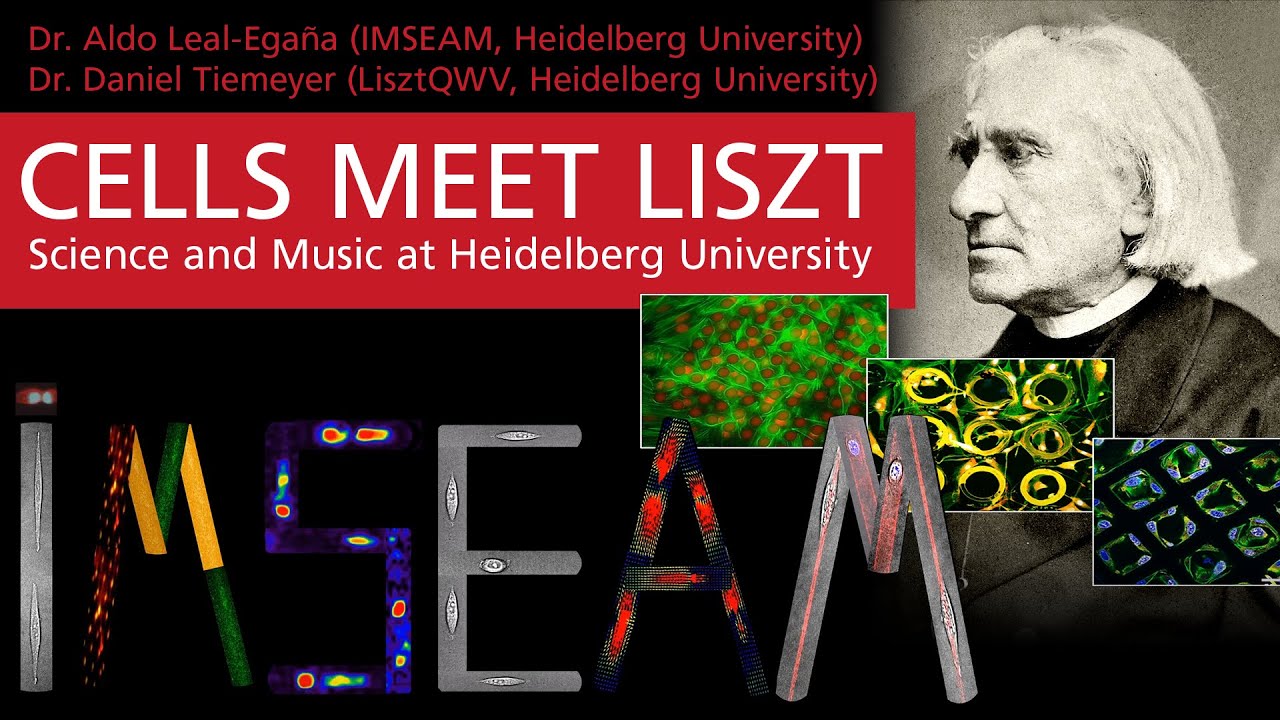 Cells meet Liszt: Science and Music at Heidelberg University