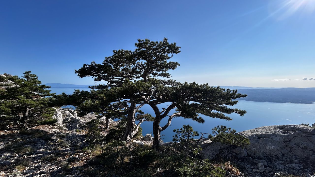 To the Pakline Shelter on Biokovo &ndash; Adriatic Sea Views