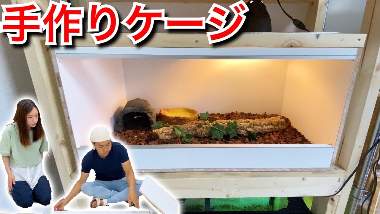 超安くて簡単？！オシャレな爬虫類ケージの作り方